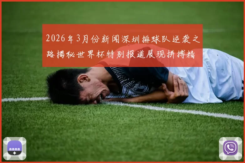 2026年3月份新闻深圳排球队逆袭之路揭秘世界杯特别报道展现拼搏精神与团队力量
